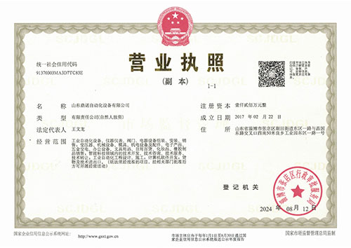 我们的优势(图1)