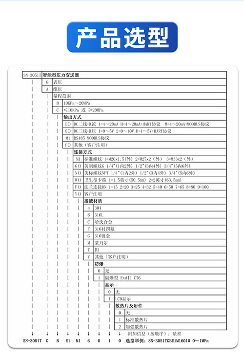 SN3051T压力变送器(图10)