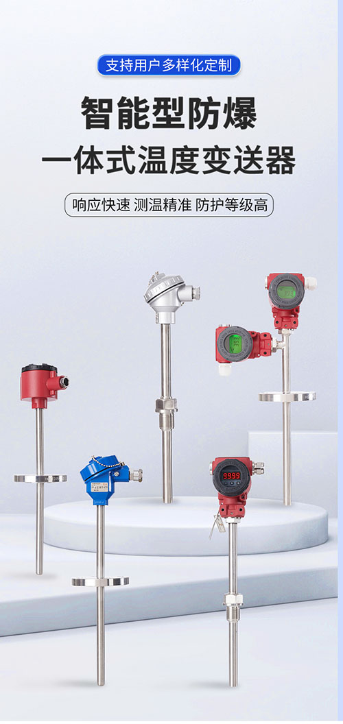 SNW2智能型温度变送器(图3)