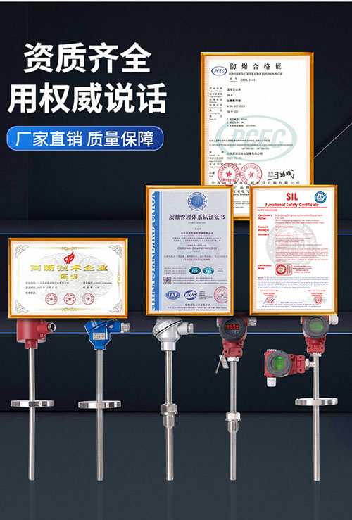SNW2智能型温度变送器(图2)